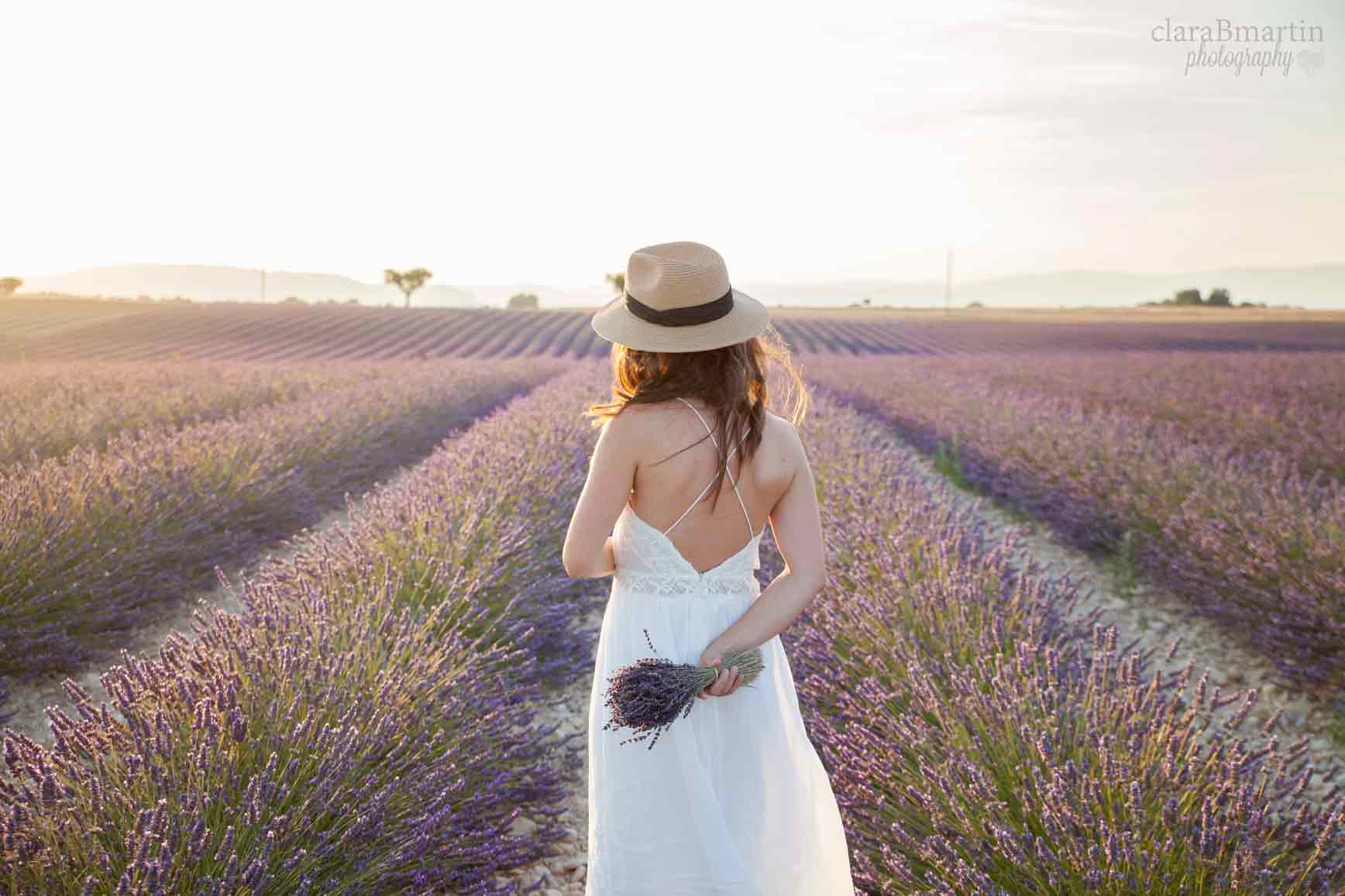 Lavender-fields-Provence-claraBmartin08