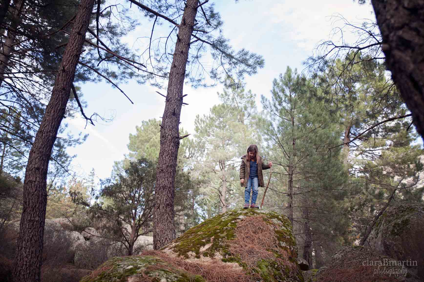 Bosques en Madrid para ir con niños - La Pedriza