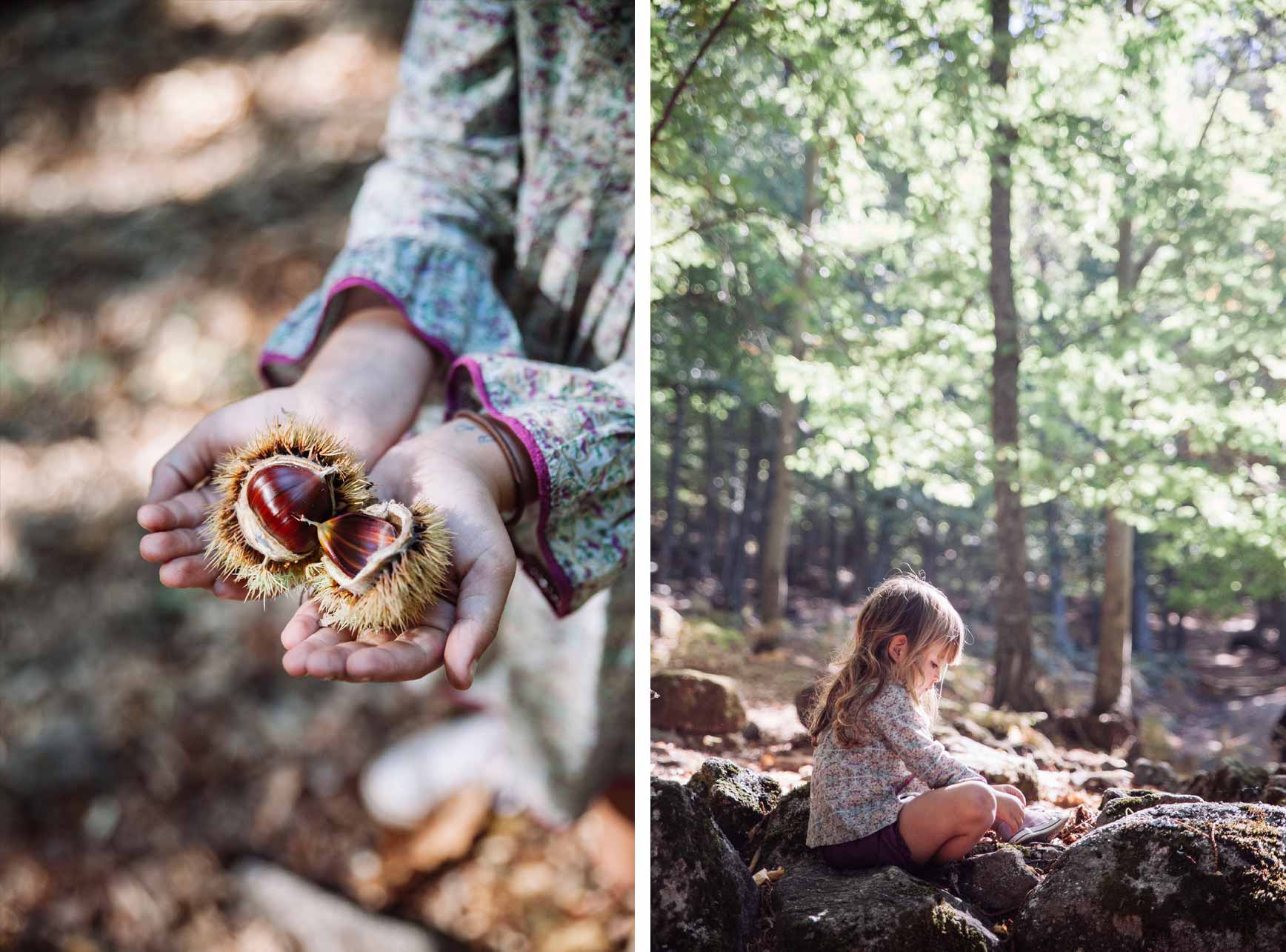 Bosques cerca de Madrid para ir con niños - El Castañar de El Tiemblo
