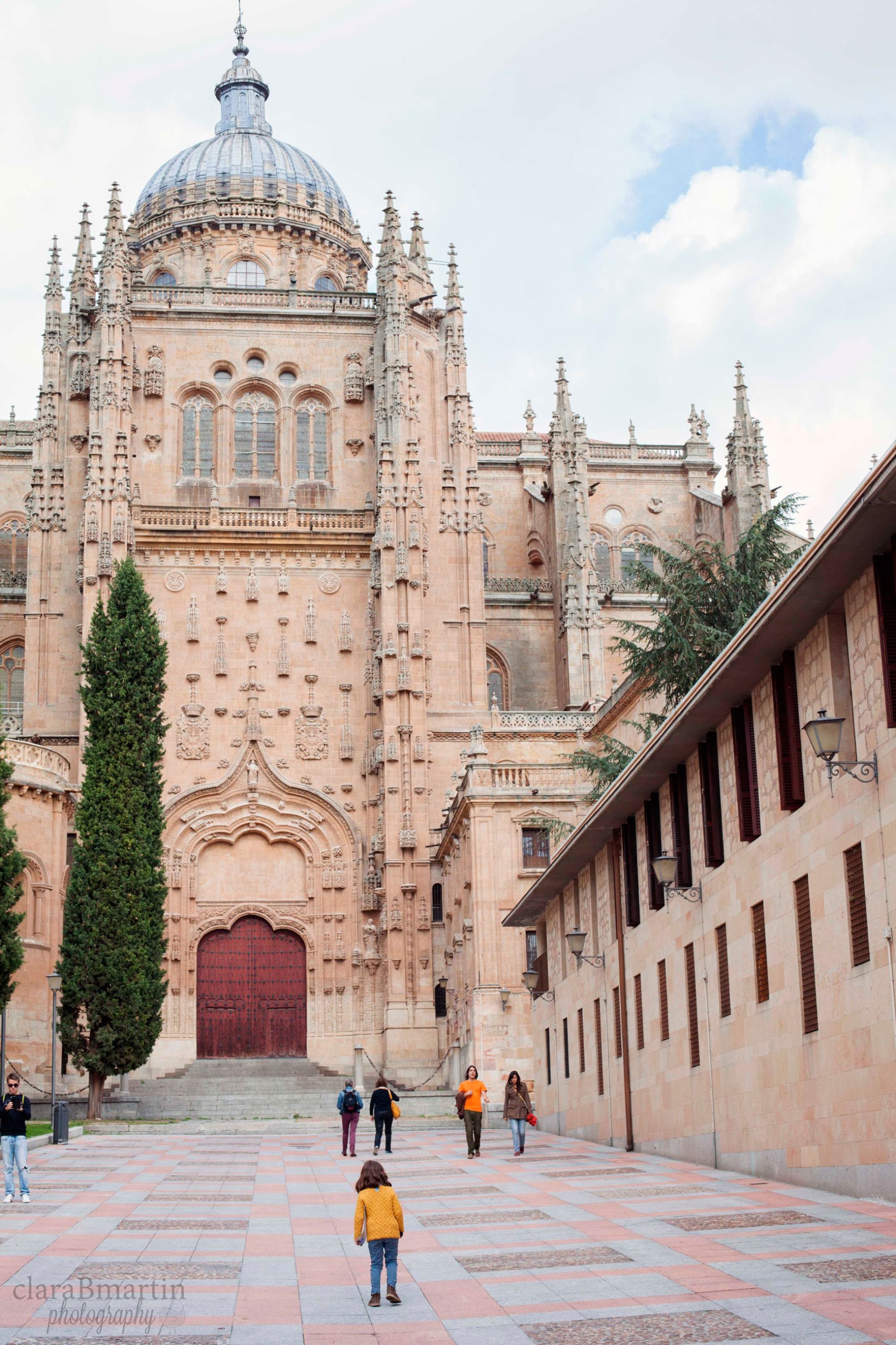 Descubriendo Salamanca