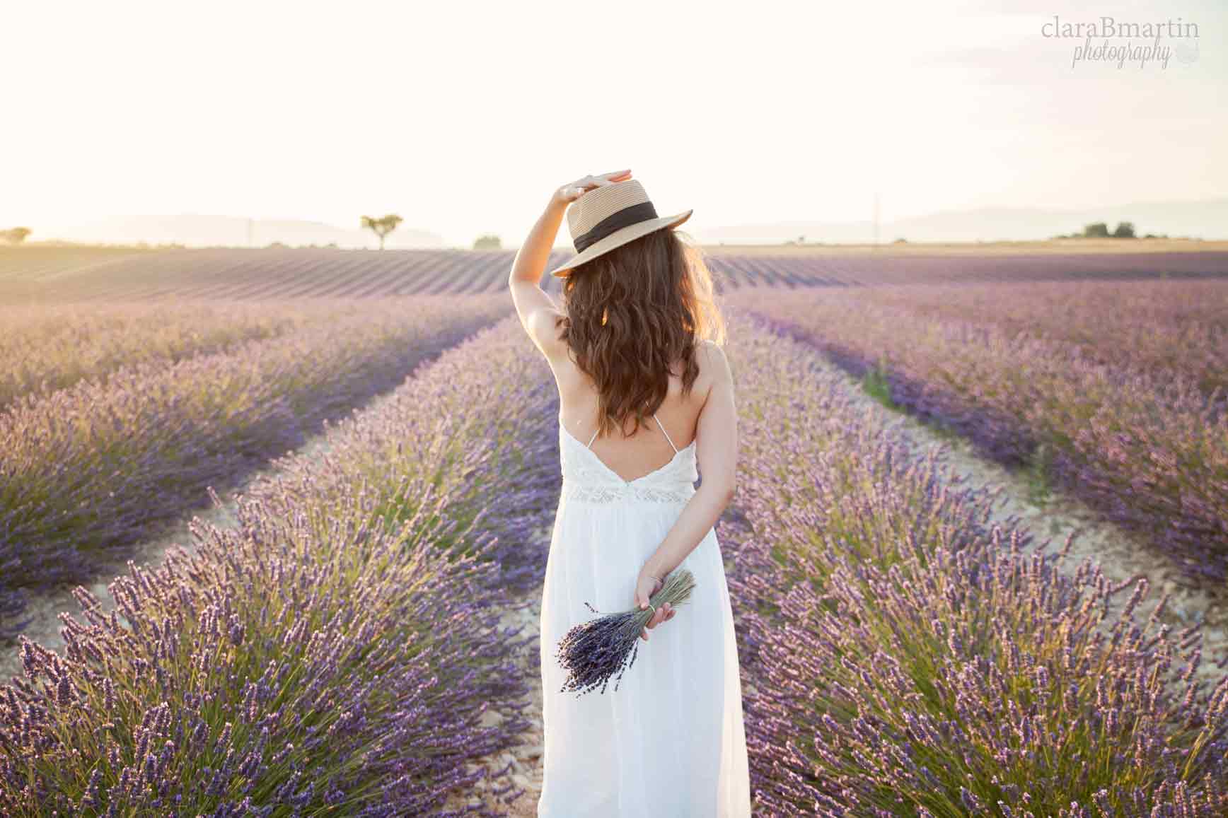 Lavender-fields-Provence-claraBmartin07