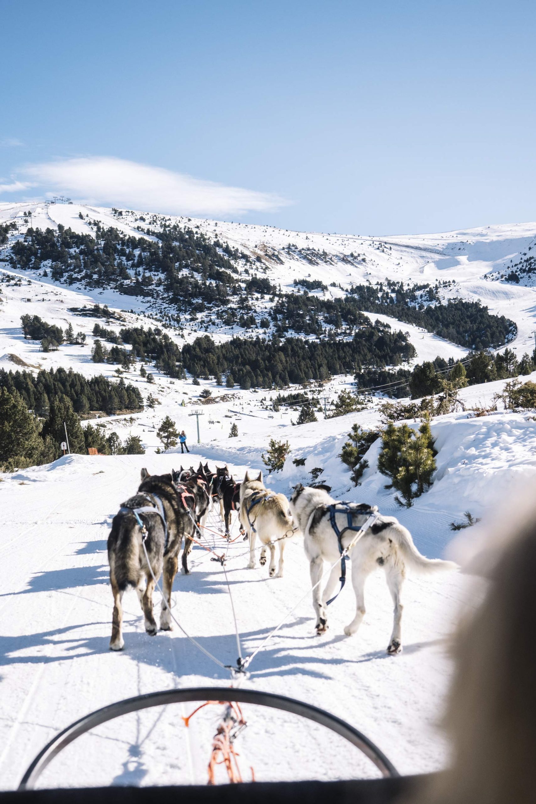 Mushing en Andorra en invierno