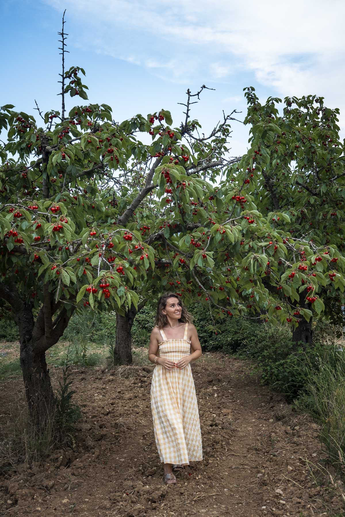 La Bureba (Burgos): Ruta por el Valle de Caderechas, Poza de la Sal y Briviesca
